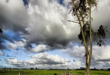 巅峰国际:琼阿梅尼:我不可能因为22年的失利,就一辈子不再踢点球.